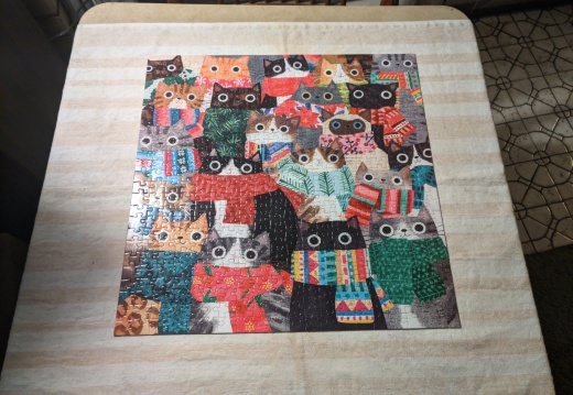 Wintry Kittys 500pcs From Roshambo