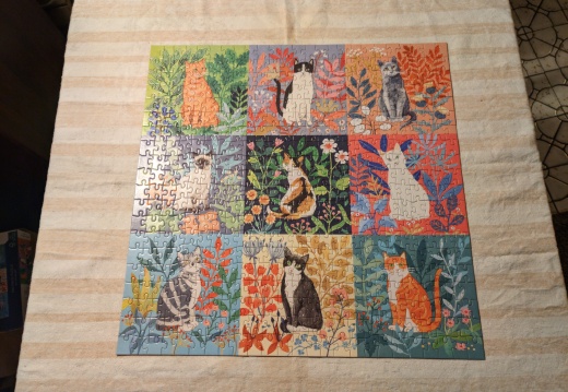 Cat Collage 500pcs from The Dunn's