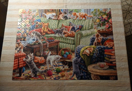 Kitty Chaos 500pcs From Sisters that Think Alike